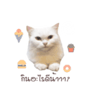 sleepy cooper（個別スタンプ：21）