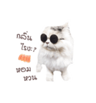 sleepy cooper（個別スタンプ：22）