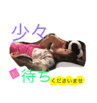 瑠璃スタンプ（個別スタンプ：5）