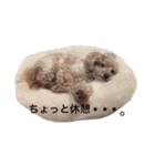 あずきちゃんだよ（個別スタンプ：7）