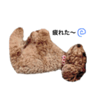 あずきちゃんだよ（個別スタンプ：10）