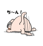 ちょび太の普段着スタンプ（個別スタンプ：32）