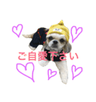 COCOSTYLELOVE2（個別スタンプ：1）