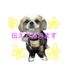 COCOSTYLELOVE2（個別スタンプ：7）
