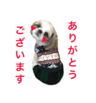 COCOSTYLELOVE2（個別スタンプ：12）