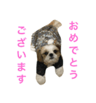 COCOSTYLELOVE2（個別スタンプ：15）