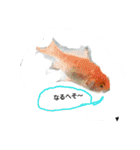 unazuki fish（個別スタンプ：2）