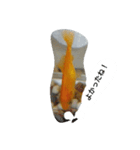 unazuki fish（個別スタンプ：3）