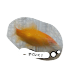 unazuki fish（個別スタンプ：9）