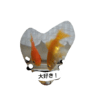 unazuki fish（個別スタンプ：12）