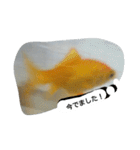 unazuki fish（個別スタンプ：14）