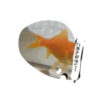 unazuki fish（個別スタンプ：15）
