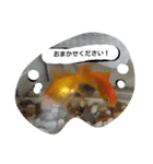 unazuki fish（個別スタンプ：18）