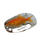 unazuki fish（個別スタンプ：21）