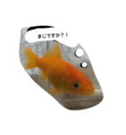 unazuki fish（個別スタンプ：24）