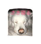 ノア（個別スタンプ：7）