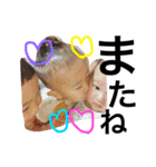なかよしかぞく参上！！（個別スタンプ：40）