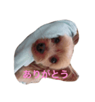 うちのもなか（個別スタンプ：1）