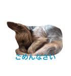 うちのもなか（個別スタンプ：2）