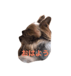 うちのもなか（個別スタンプ：4）