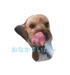 うちのもなか（個別スタンプ：7）