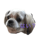 Mocha's stamp（個別スタンプ：3）