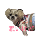 Mocha's stamp（個別スタンプ：4）