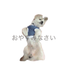 Mocha's stamp（個別スタンプ：7）