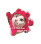 エビタス（個別スタンプ：1）