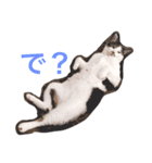 エビタス（個別スタンプ：7）