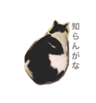 エビタス（個別スタンプ：8）