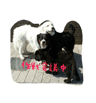 海斗の癒し（個別スタンプ：4）
