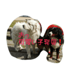 海斗の癒し（個別スタンプ：5）