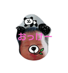 ansan（個別スタンプ：5）
