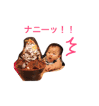 ゆ。ず（個別スタンプ：2）