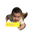 みおちあん（個別スタンプ：6）