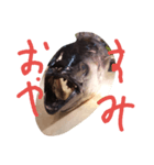 magurodayo（個別スタンプ：5）