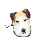 愛犬ちゃんたち（個別スタンプ：7）