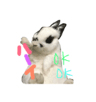 うさぎのパンちゃん（個別スタンプ：3）