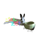 うさぎのパンちゃん（個別スタンプ：5）