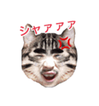 しゅっぴ（個別スタンプ：6）