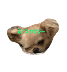 福夢さん1（個別スタンプ：1）