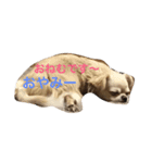 福夢さん1（個別スタンプ：7）