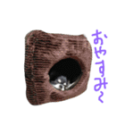 犬と猫の生活（個別スタンプ：19）