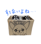 犬と猫の生活（個別スタンプ：20）