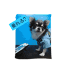 犬と猫の生活（個別スタンプ：28）