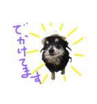 犬と猫の生活（個別スタンプ：32）
