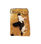 最高の出会い（個別スタンプ：5）