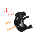 Sia Pom（個別スタンプ：26）