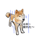 愛犬★だいちくん（個別スタンプ：2）